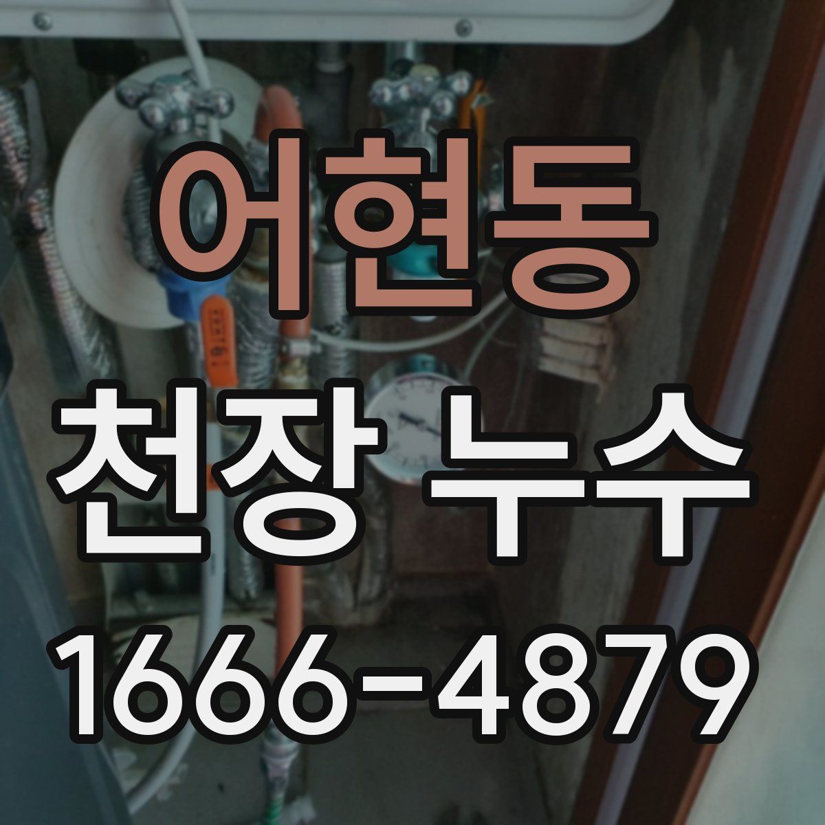 어현동 천장 누수