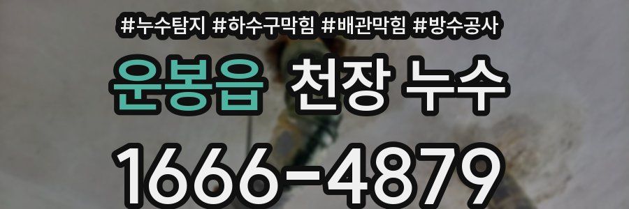 운봉읍 천장 누수