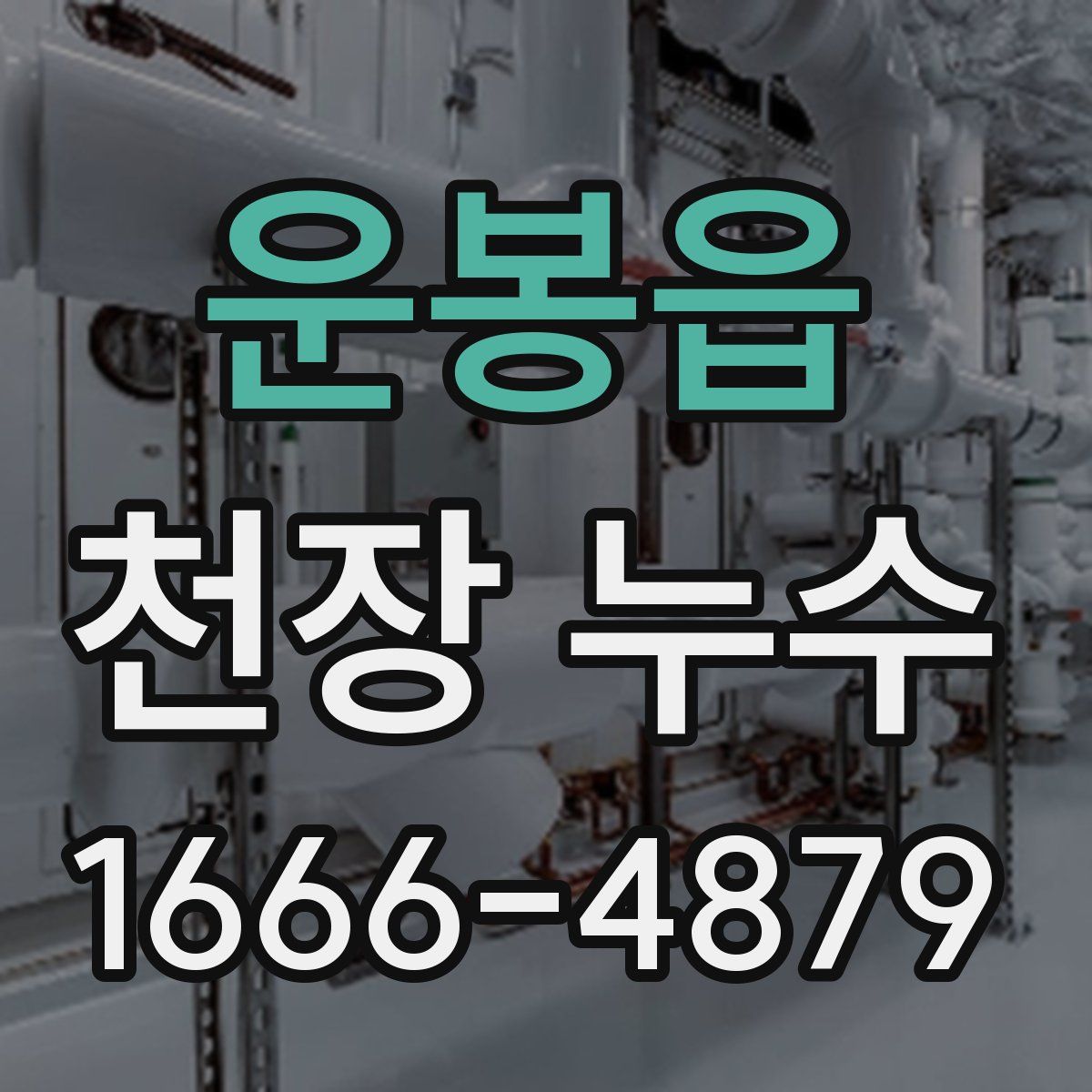 운봉읍 천장 누수
