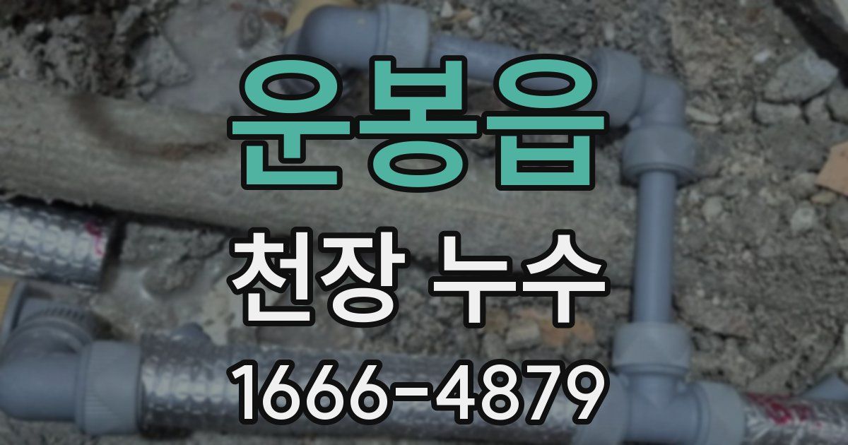 운봉읍 천장 누수