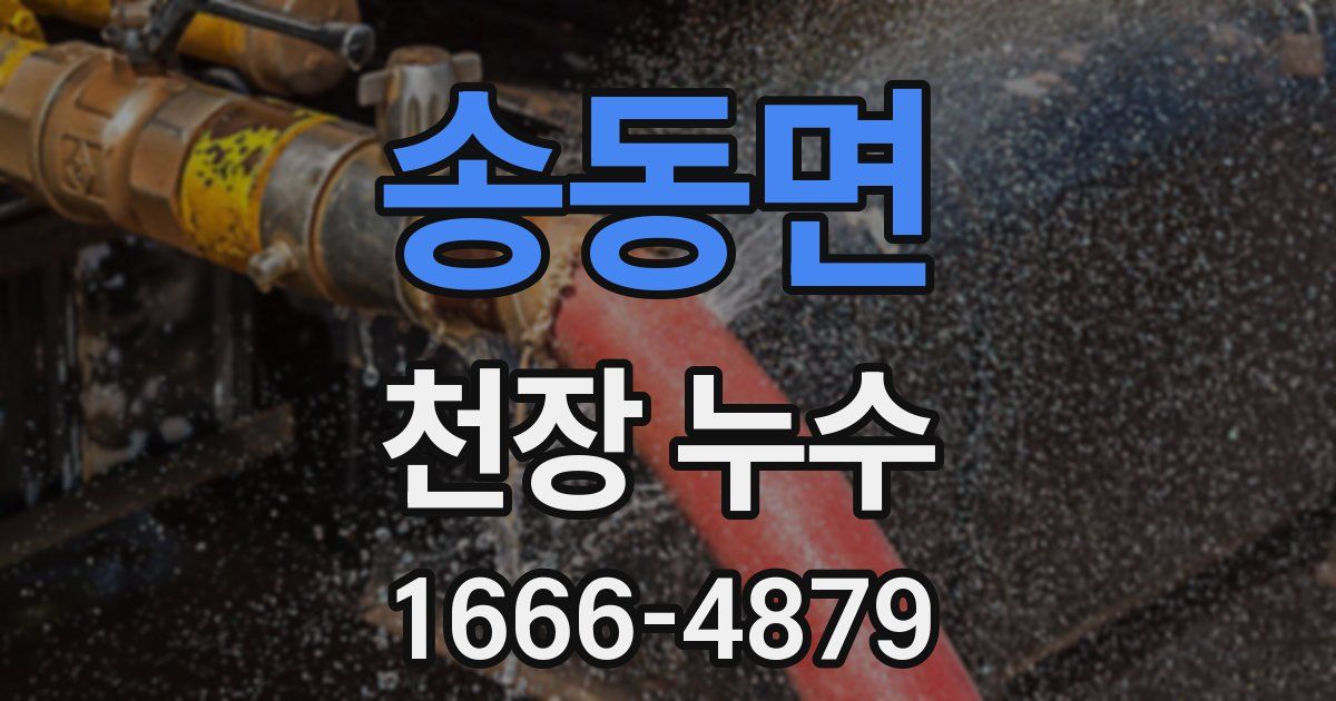 송동면 천장 누수