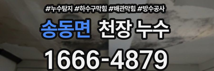 송동면 천장 누수