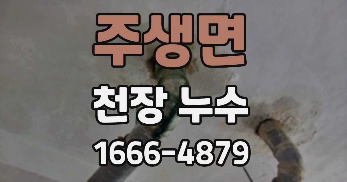 주생면 천장 누수