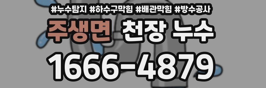 주생면 천장 누수