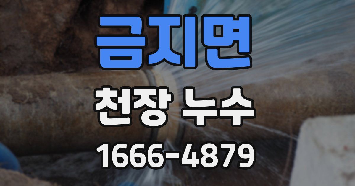 금지면 천장 누수
