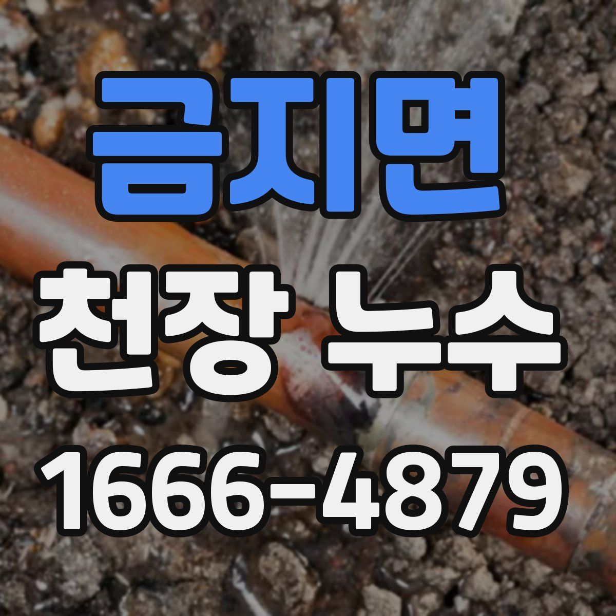 금지면 천장 누수