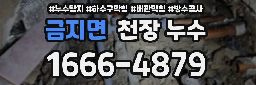 금지면 천장 누수