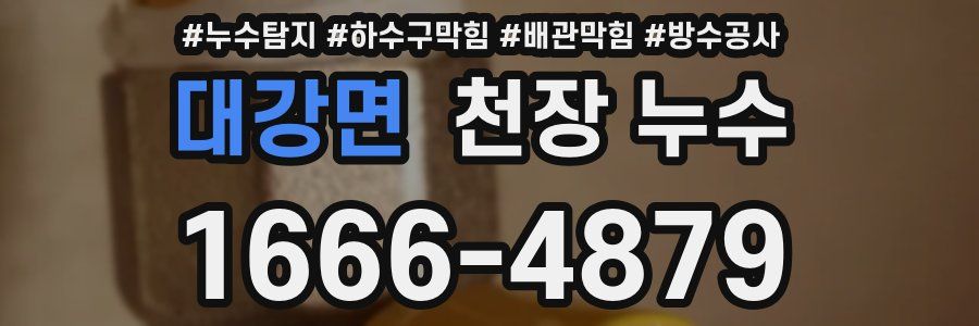 대강면 천장 누수