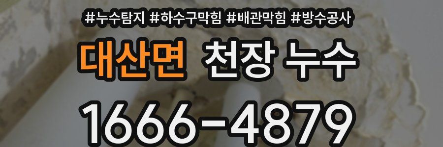 대산면 천장 누수