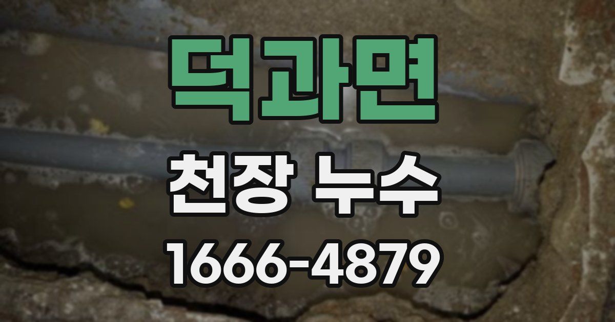 덕과면 천장 누수