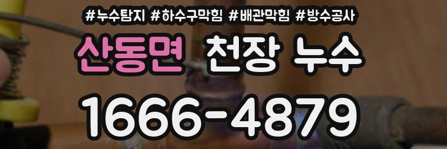 산동면 천장 누수