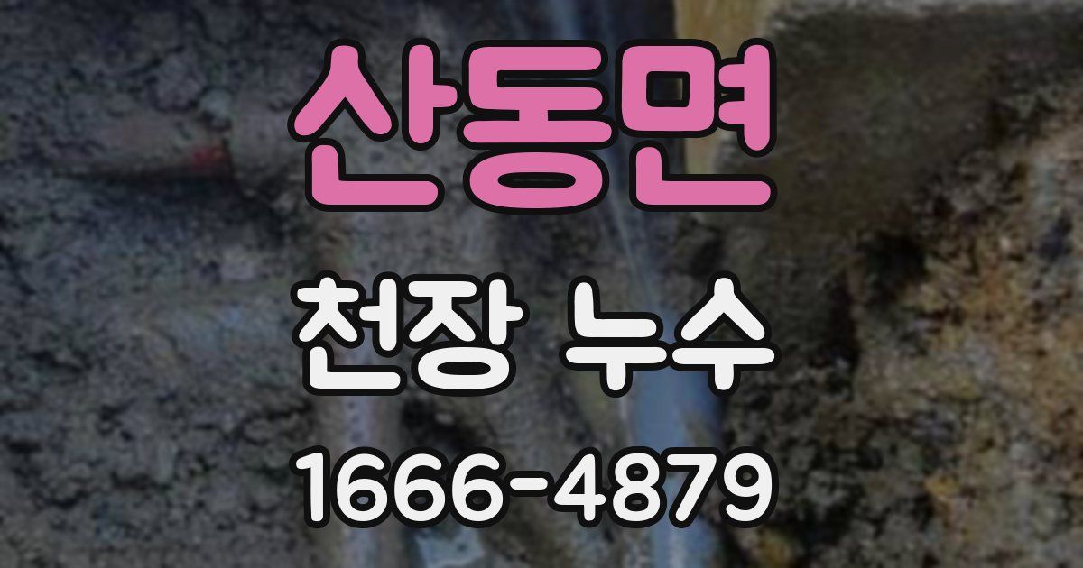산동면 천장 누수