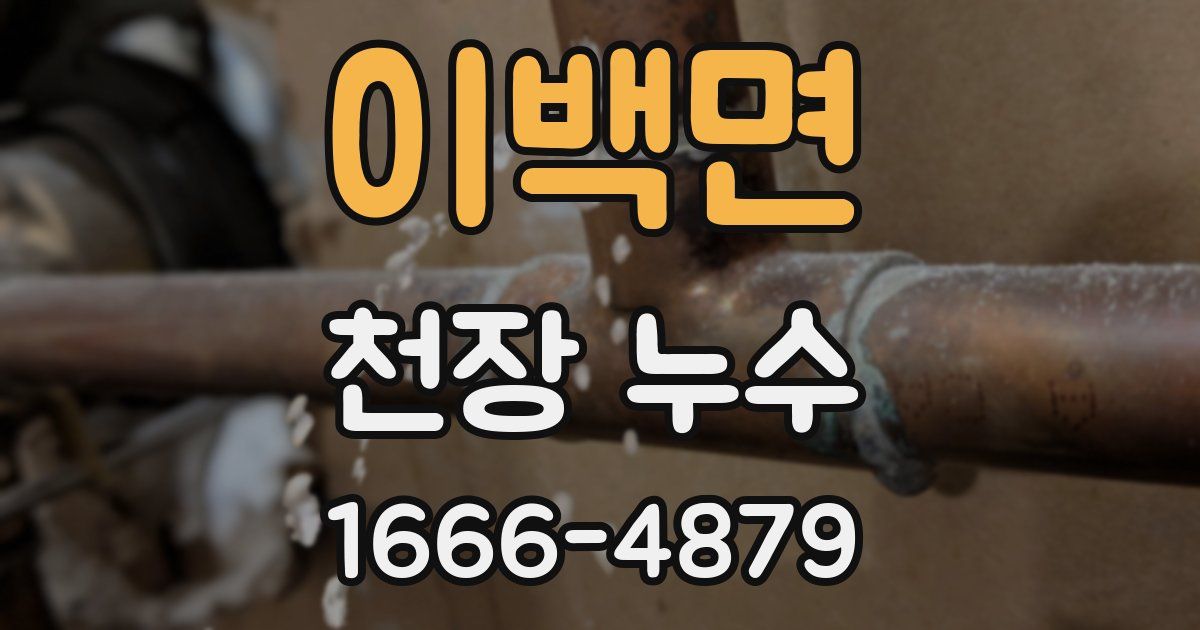 이백면 천장 누수