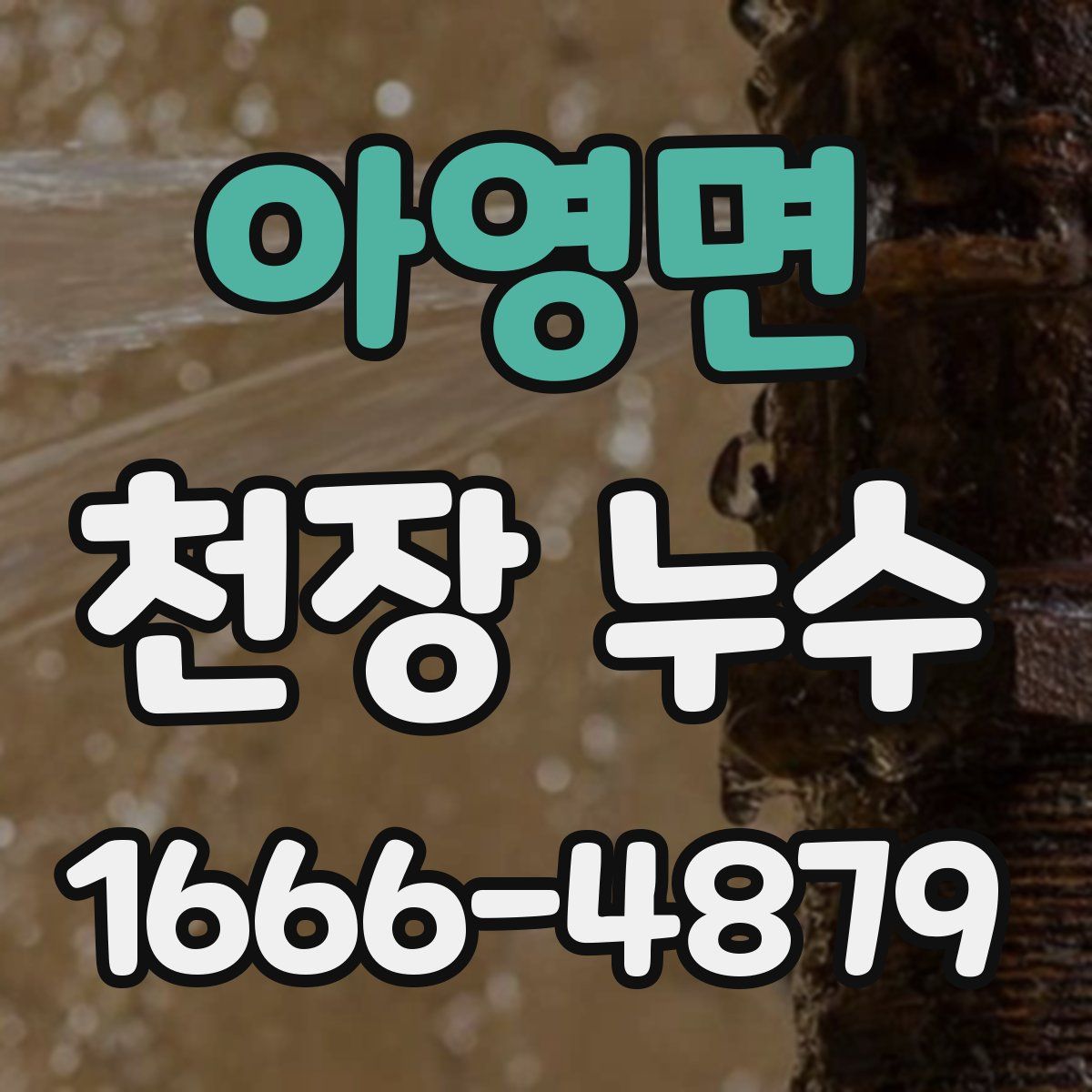 아영면 천장 누수