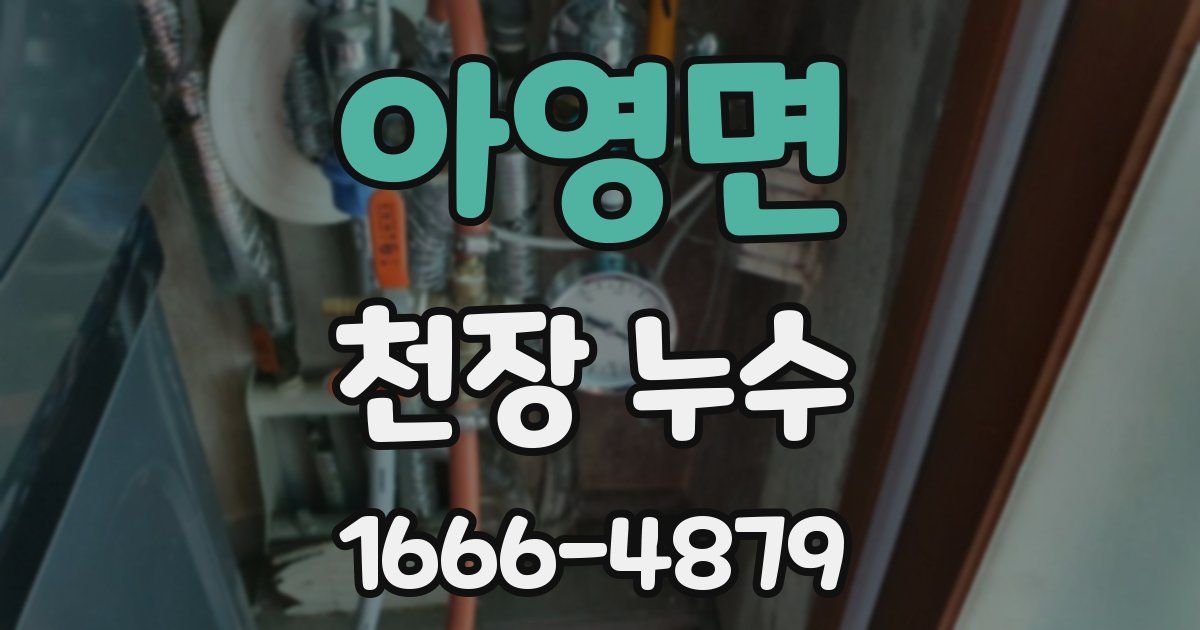 아영면 천장 누수