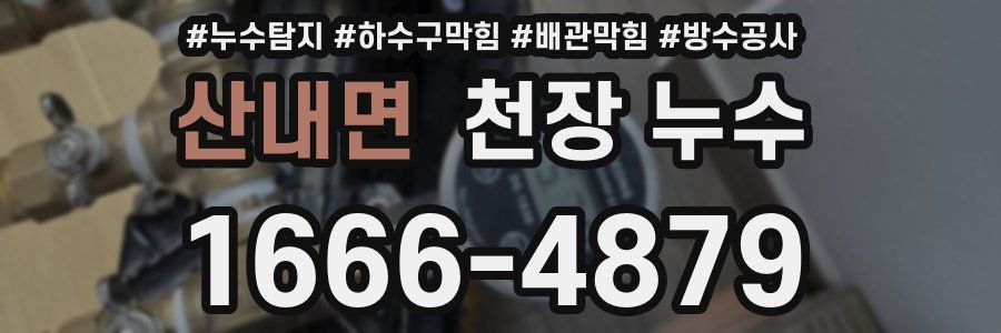 산내면 천장 누수