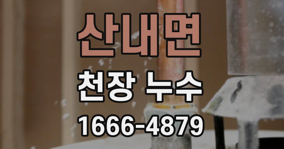 산내면 천장 누수