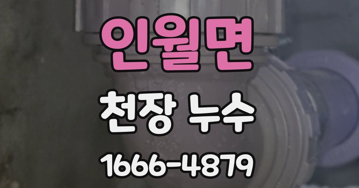 인월면 천장 누수