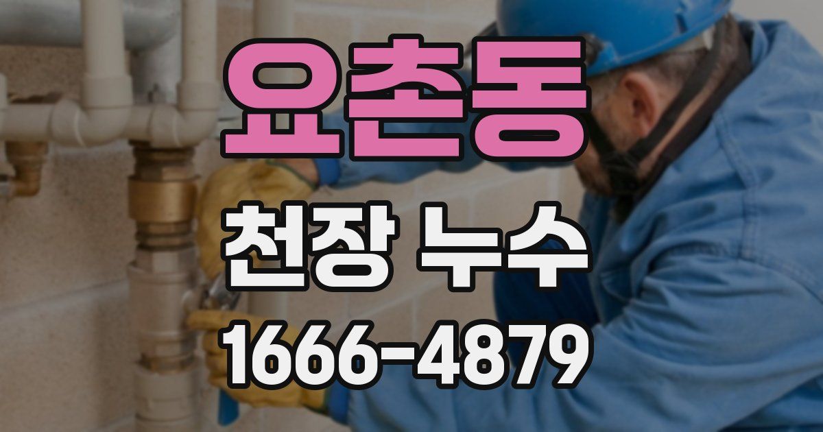 요촌동 천장 누수