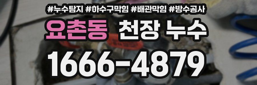 요촌동 천장 누수