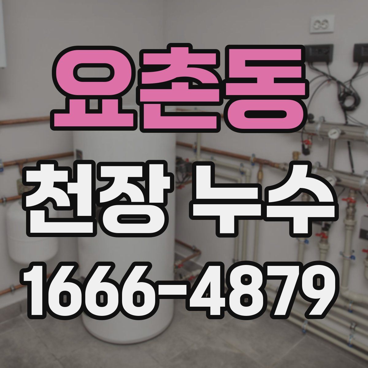 요촌동 천장 누수