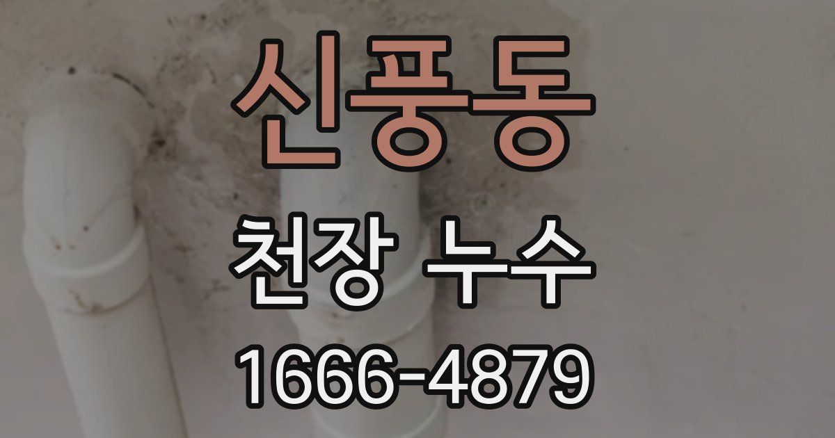 신풍동 천장 누수
