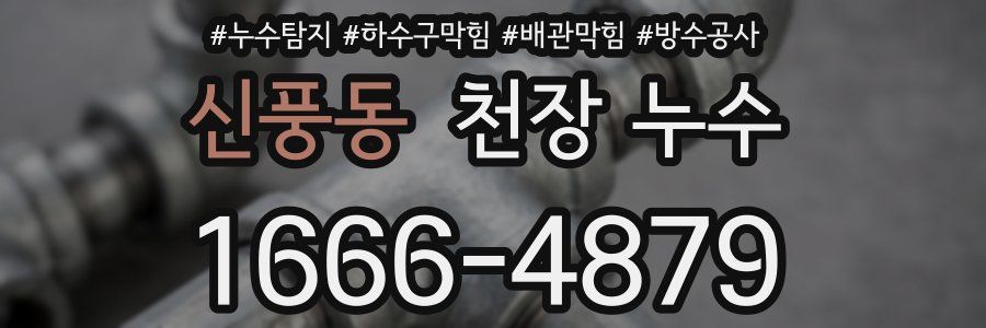 신풍동 천장 누수