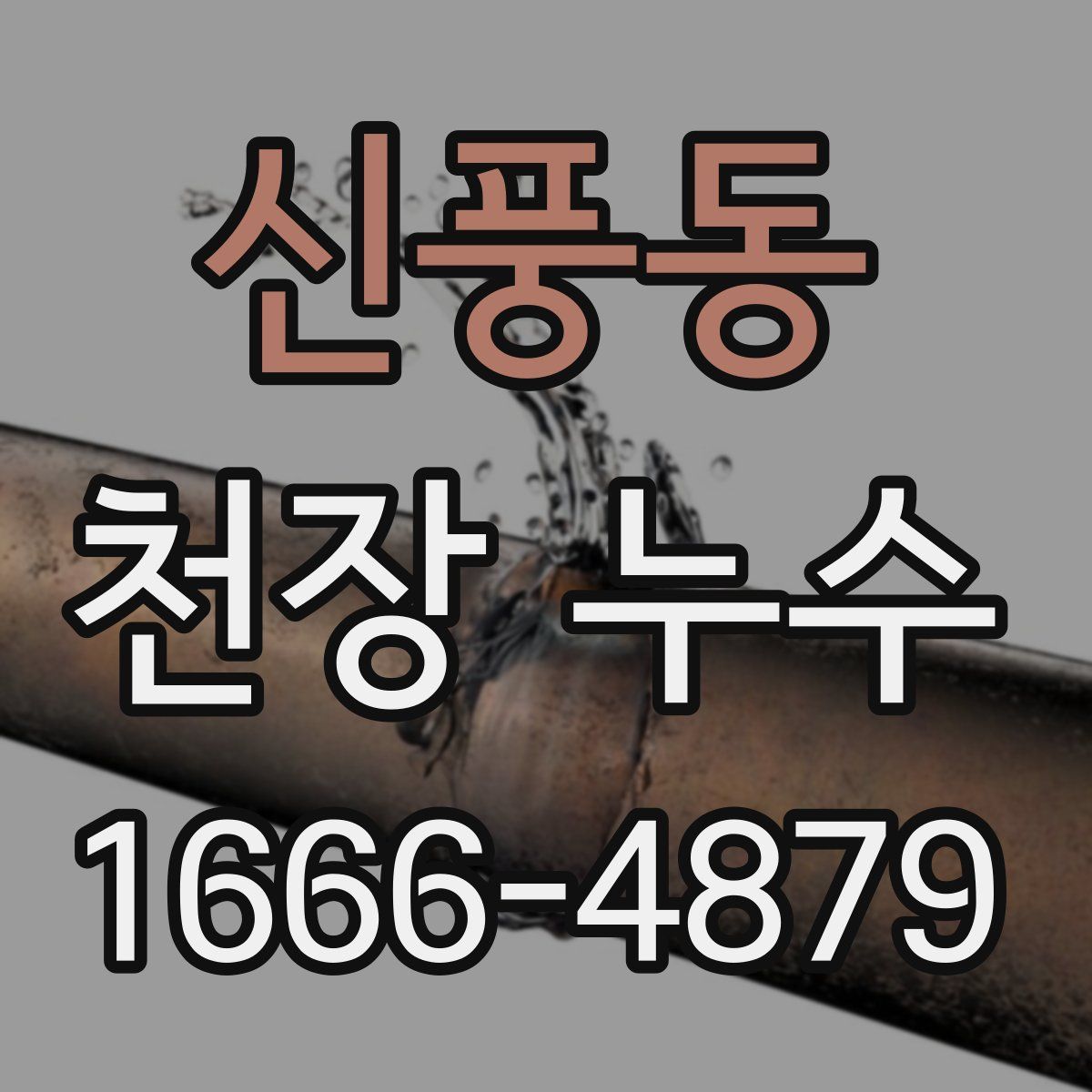 신풍동 천장 누수