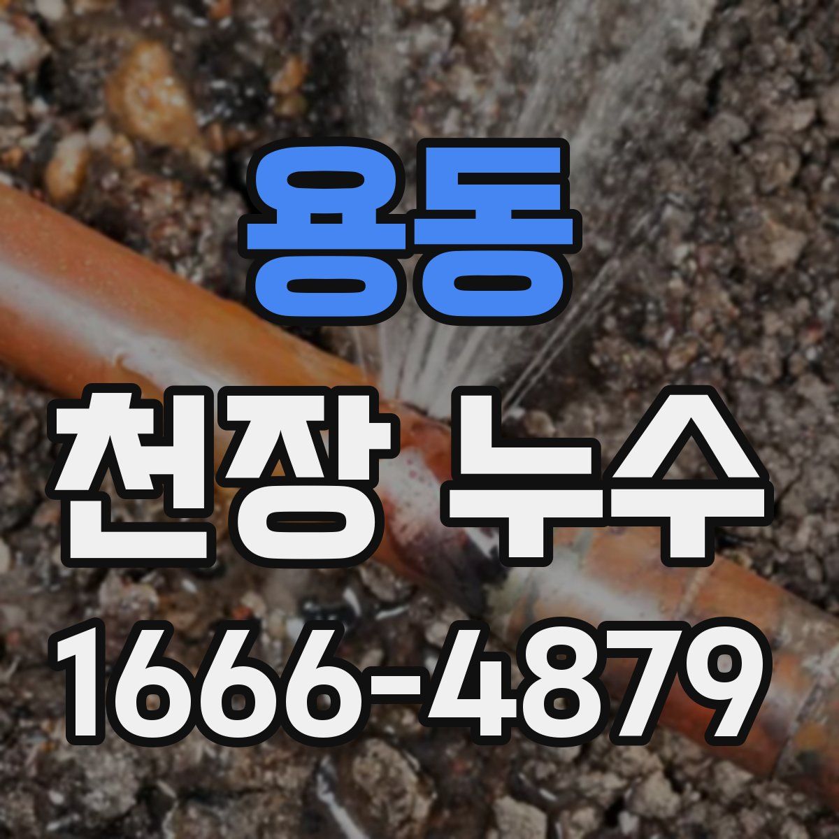 용동 천장 누수