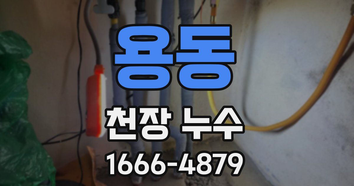 용동 천장 누수