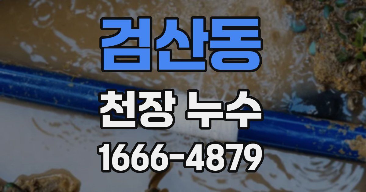 검산동 천장 누수