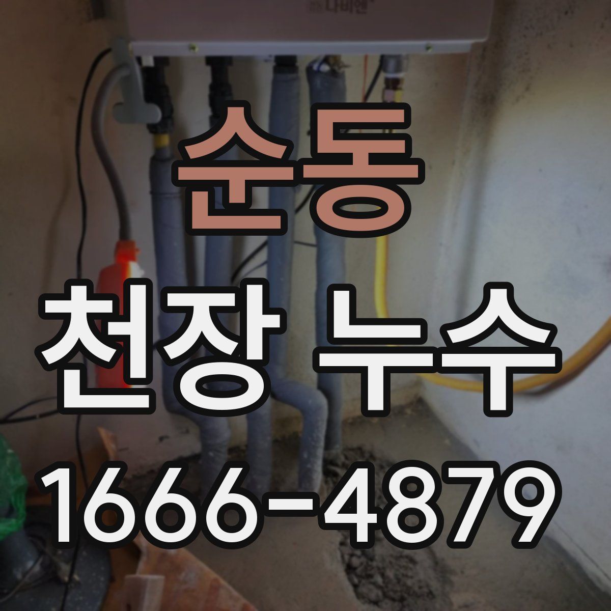 순동 천장 누수