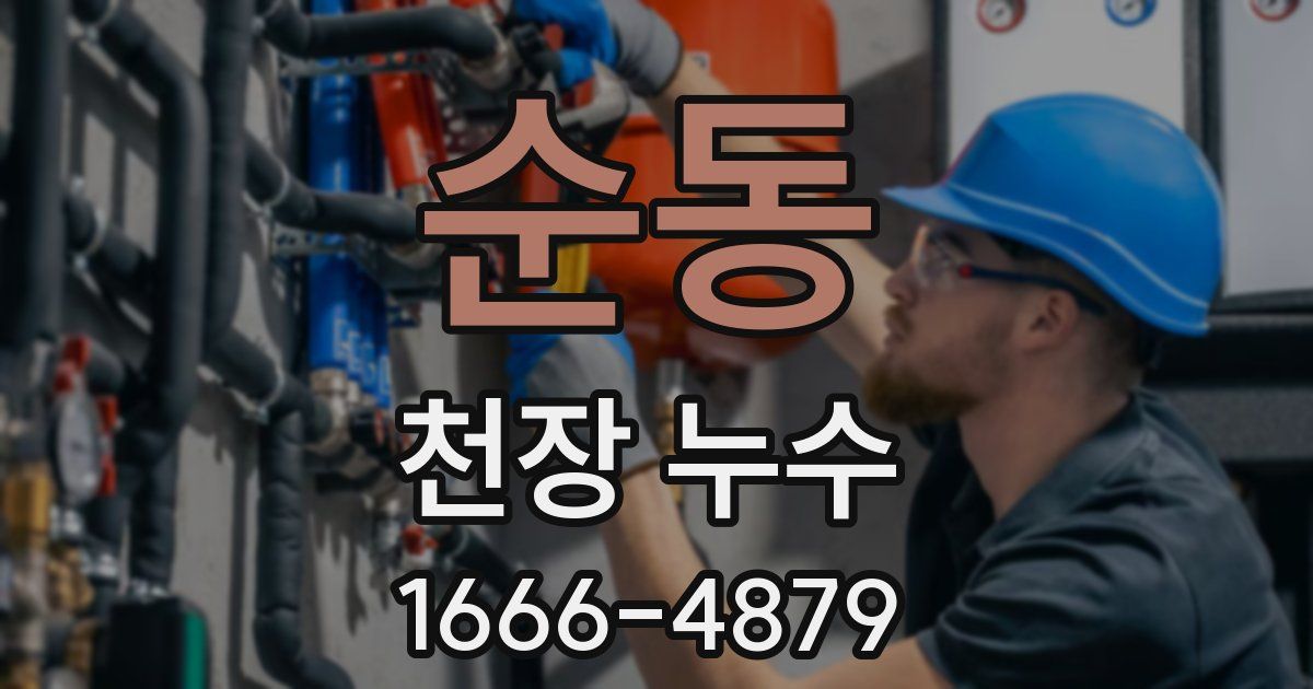 순동 천장 누수