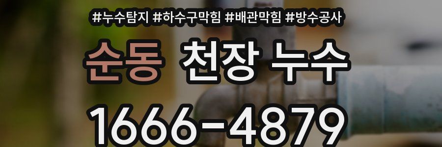 순동 천장 누수