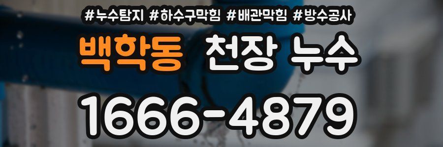 백학동 천장 누수
