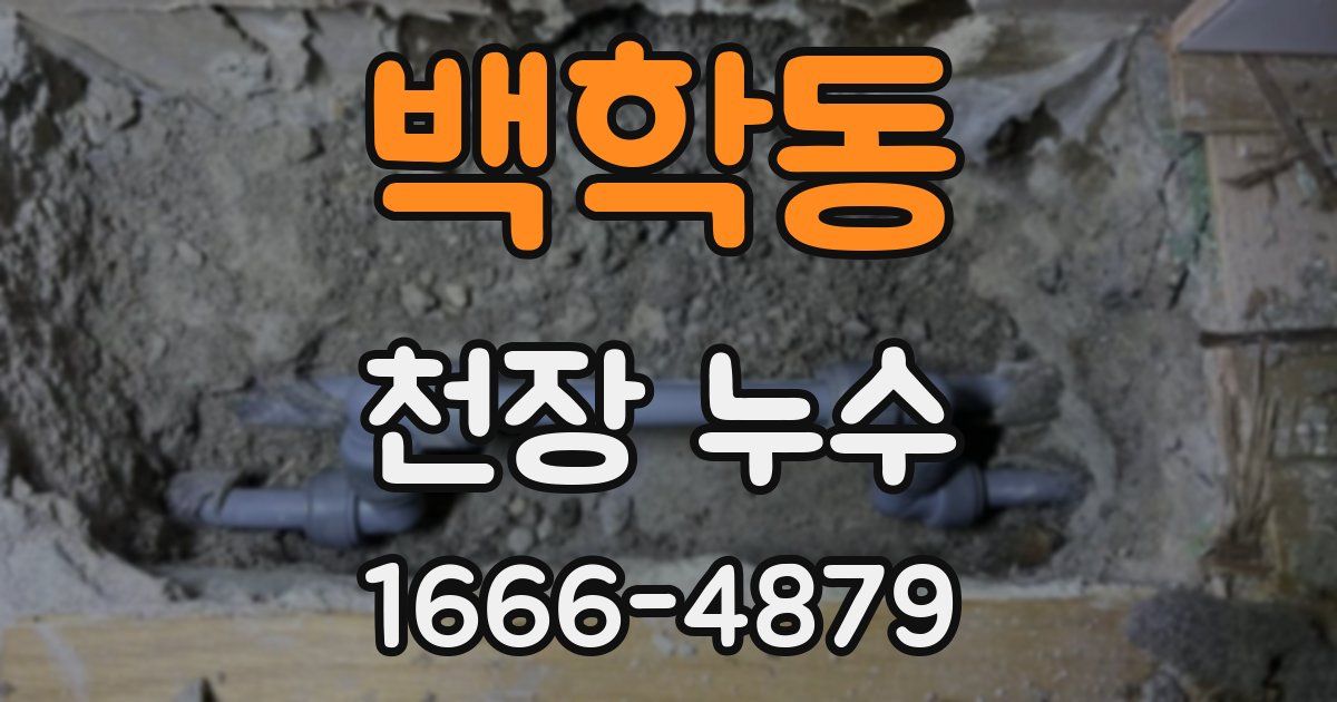백학동 천장 누수