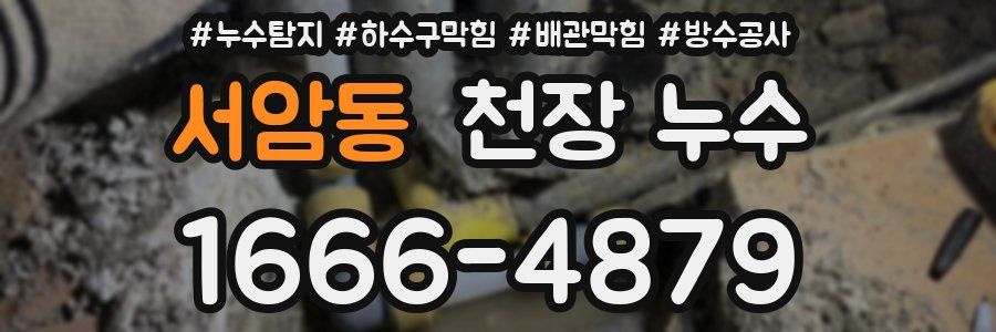 서암동 천장 누수