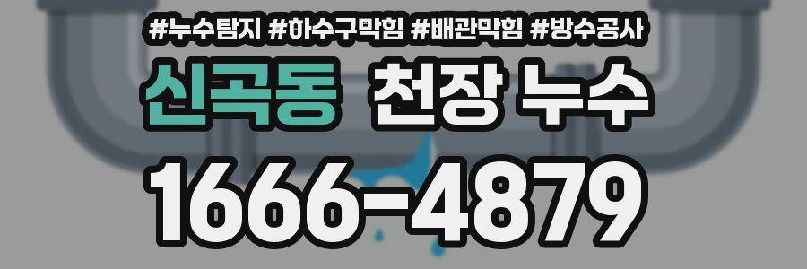 신곡동 천장 누수