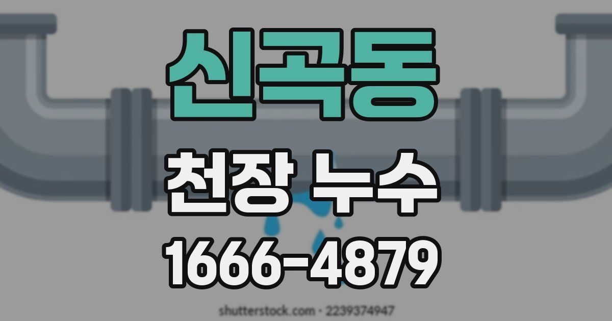 신곡동 천장 누수