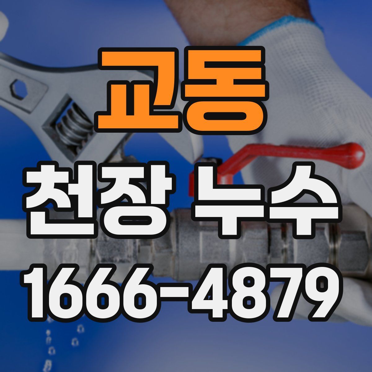 교동 천장 누수