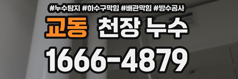 교동 천장 누수