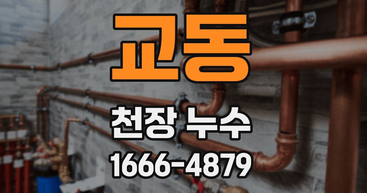 교동 천장 누수