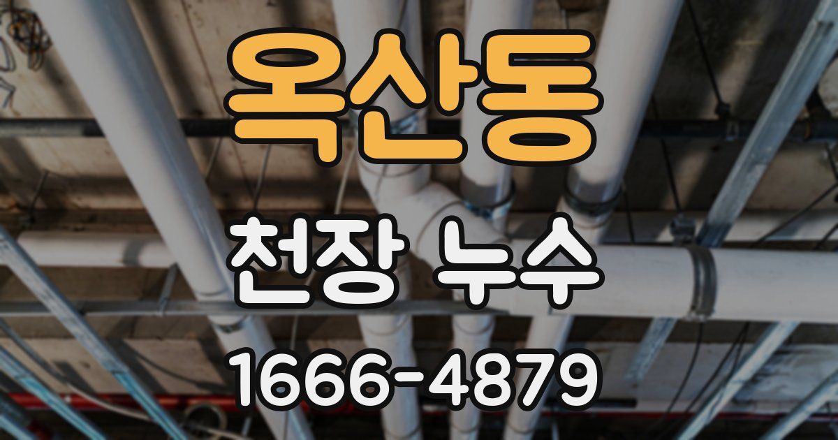 옥산동 천장 누수