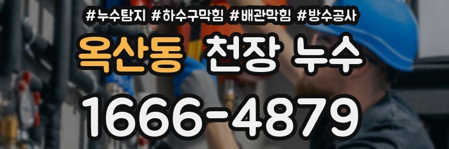 옥산동 천장 누수
