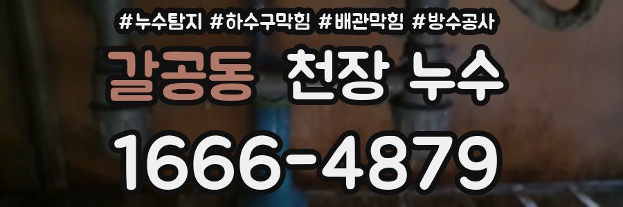 갈공동 천장 누수