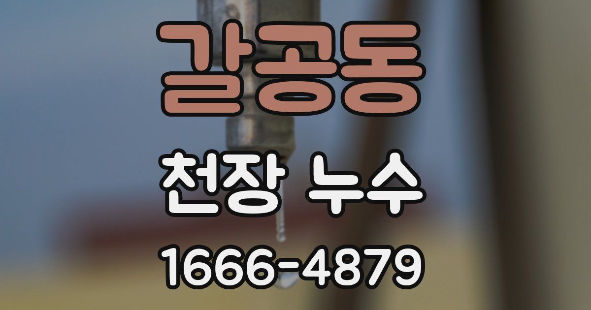 갈공동 천장 누수