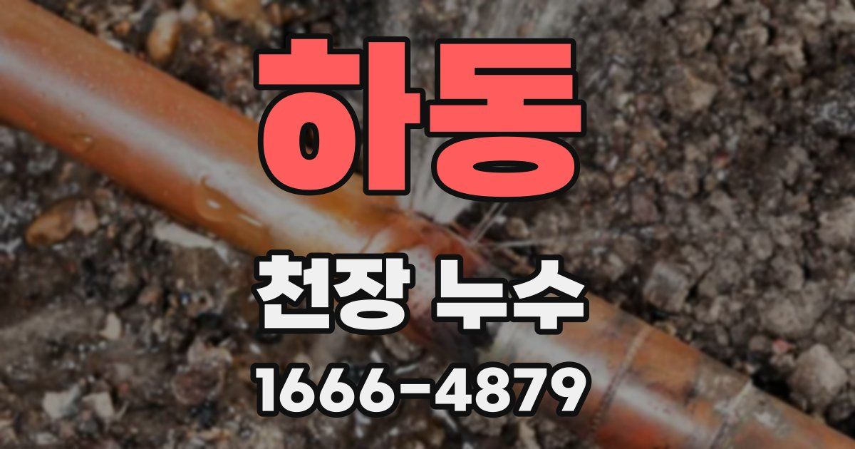 하동 천장 누수