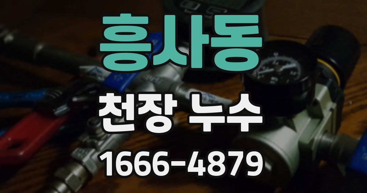 흥사동 천장 누수