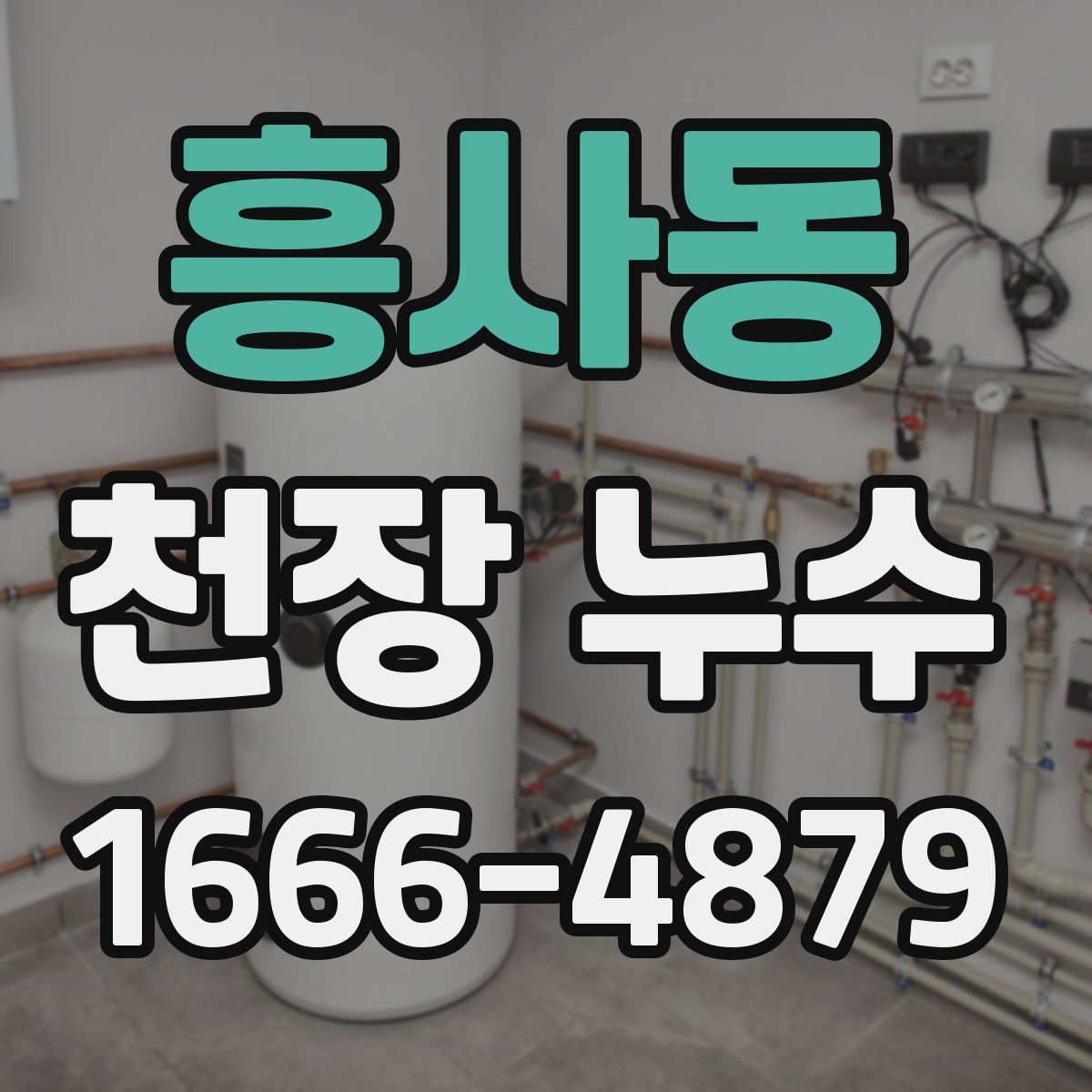 흥사동 천장 누수