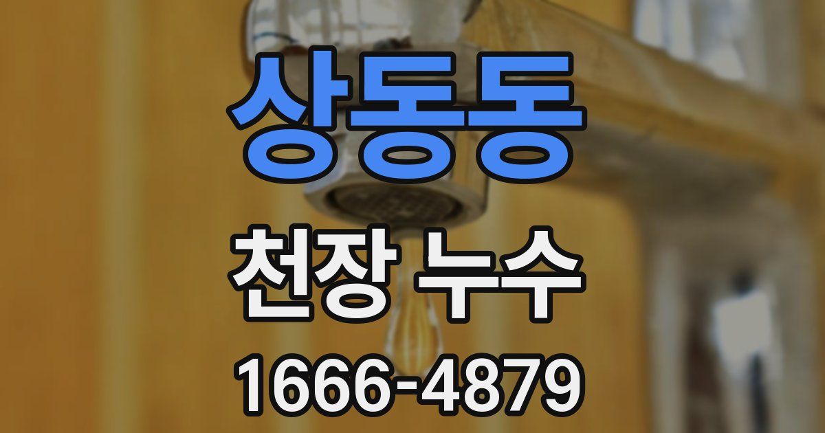 상동동 천장 누수